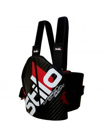 Stilo Curva carbone FIA 8870 rib protector