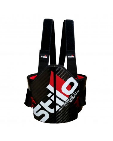 Stilo Curva carbone FIA 8870 rib protector